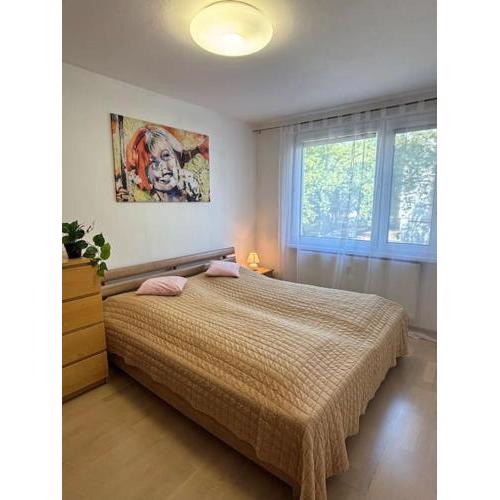 3 izbový apartmán IGGI