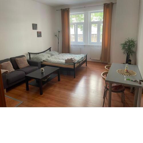 Anthony Apartment in City Center