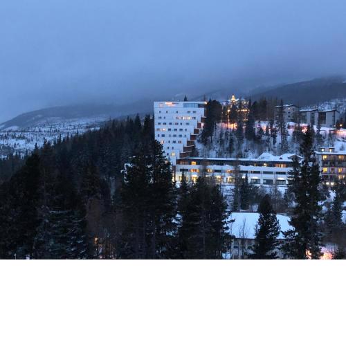 Apartment in High Tatras (4**** Panorama hotel)