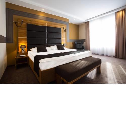 Art Hotel William