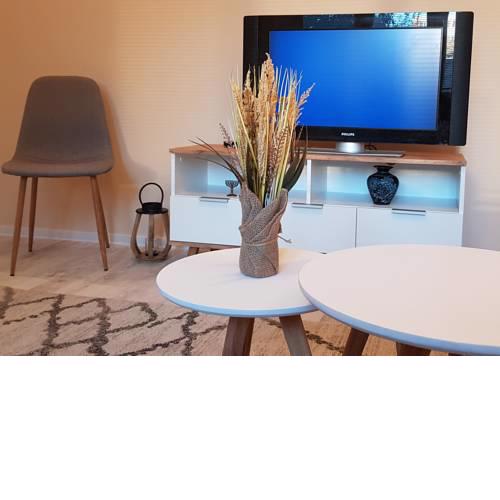 Budget Apartment Bratislava 4