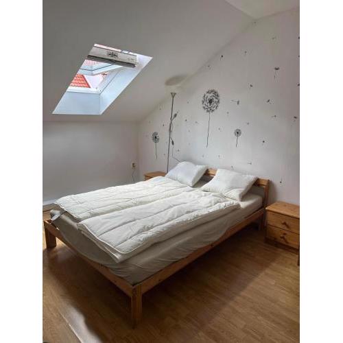C Private room in city center in Bratislava