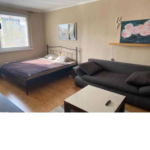 Cozy Apartment with easy access to city center