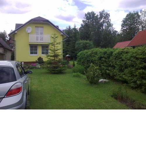 Domček Dávid
