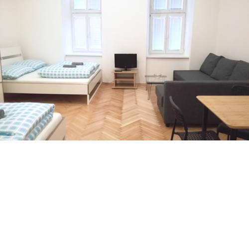 Downtown Apartment Viki