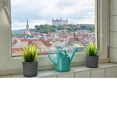 Falcon Apartment, Pano, view, Old Town,