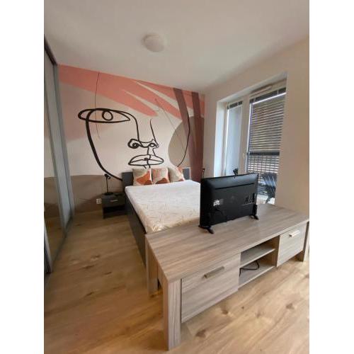 FIAOR Apartment, 1-2 guests, Free Parking & Wifi, 7 km Downtown, Bratislava
