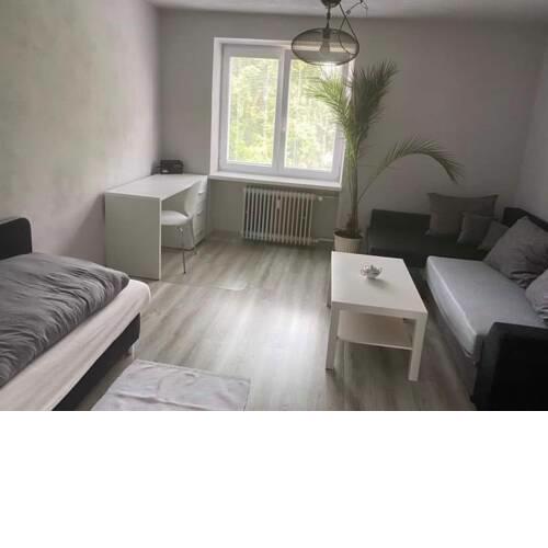 Grey apartment Sturova
