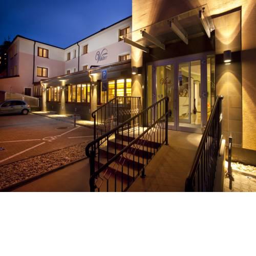 Hotel Viktor