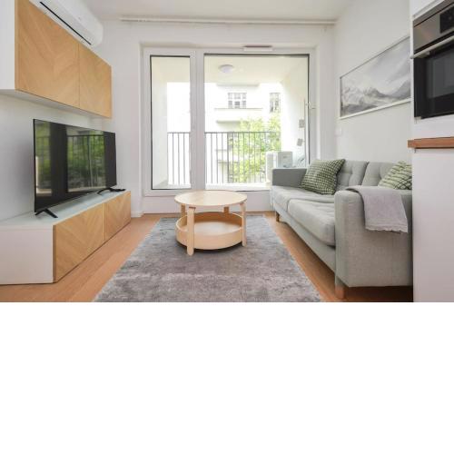 Luxury apartment in city center