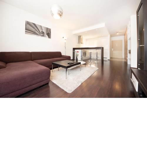 Modern Apartment near the Hockey Arena and Center
