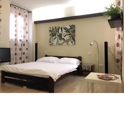 Old Town Apartment Rajska