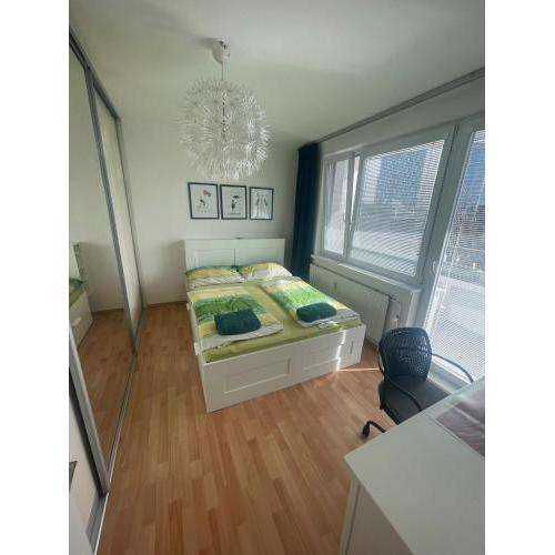 Park View City Center Location Apartment with Balcony