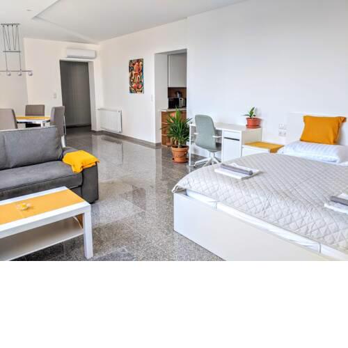 Quiet 51 m2 Studio in Bratislava Slavin District