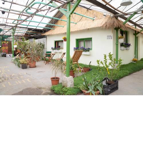 Rastlinky.sk Greenhouse Guestrooms