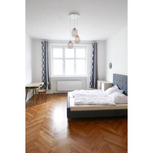 Renovated Apartment in City Center, 3 bedrooms, lift