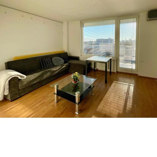 Sunny apartment near the center