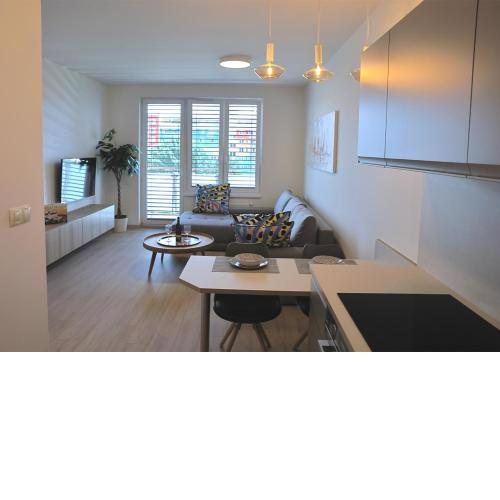 Two Room Apartment Bratislava Check in -B