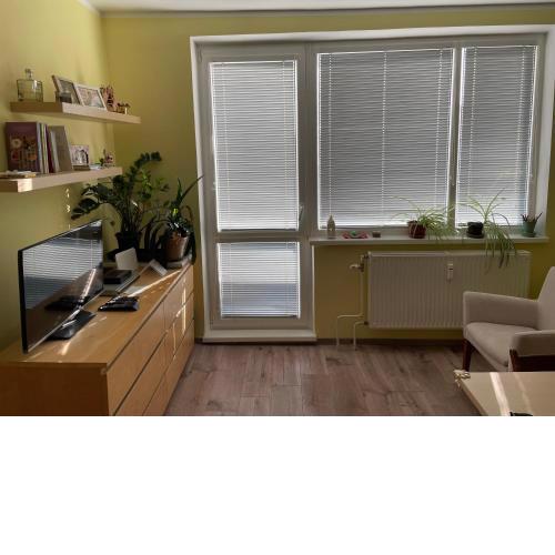 Utulny byt v sirsom centre - Cosy apartment