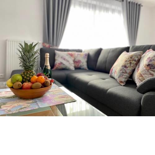 Villa Jarka Rent